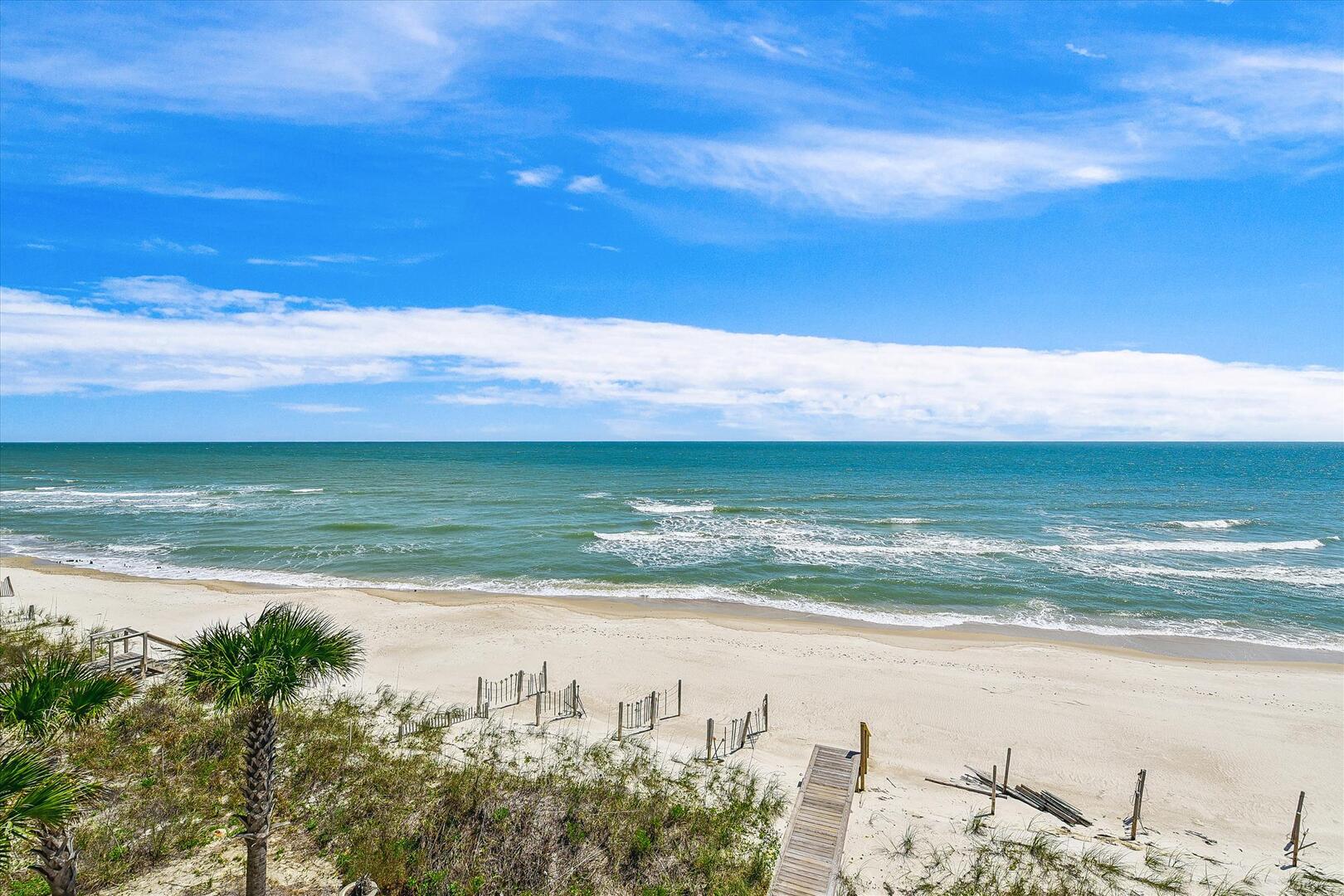 Summer Paradise 2016.2017 2点セット Summer Paradise 2016.2017 2点セット